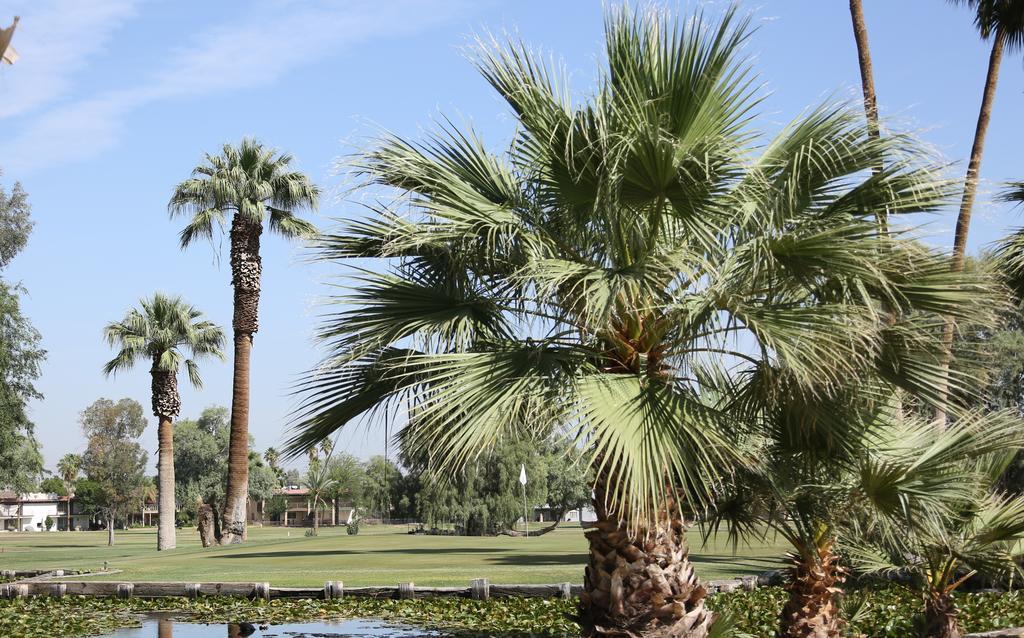Barbara Worth Golf Resort Holtville 外观 照片